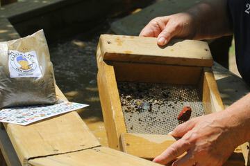 Children's activities