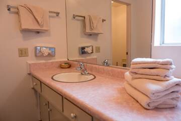 Bathroom sink