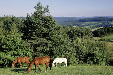 Valley view