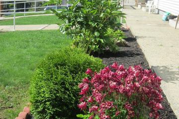 Property Grounds 34 of 39