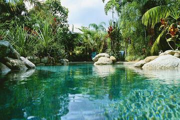 Swimming pool [outdoor]