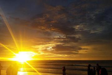 Photo 45