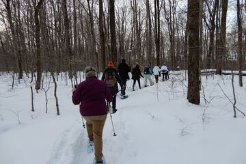 Snowshoeing