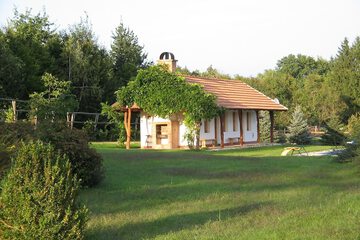 Park view