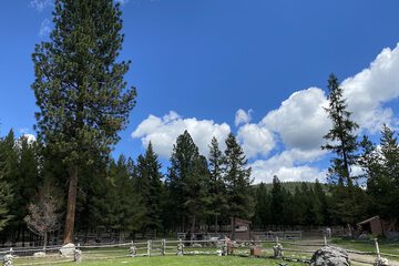 Land view from property