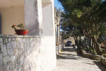 Photo 43