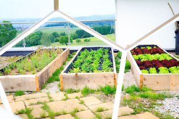 Rooftop terrace