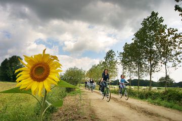 Bicycling