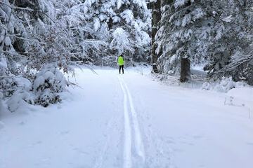Snow and ski sports