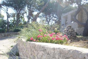 Photo 34