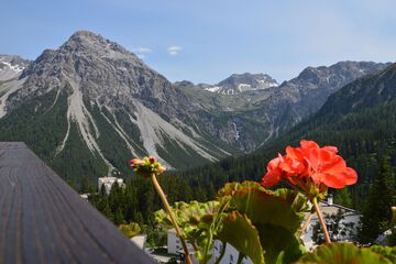 View from room