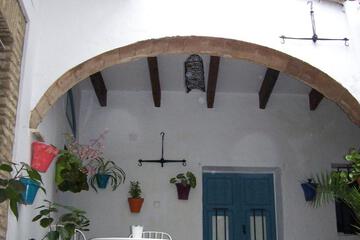 Photo 36