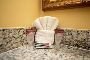 Bathroom amenities