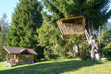 Photo 35