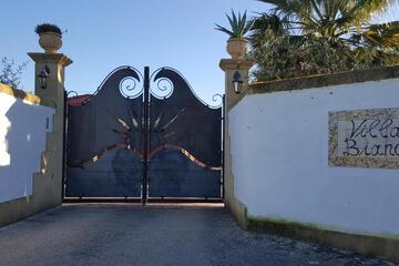 Photo 48