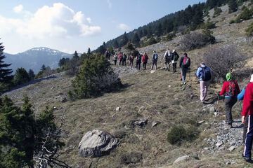 Hiking