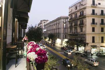 View from room