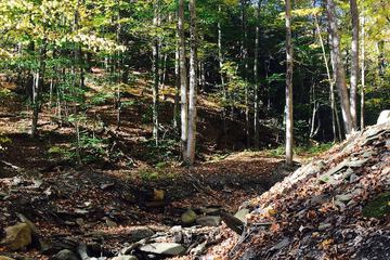 Outdoor Activities 42 of 43