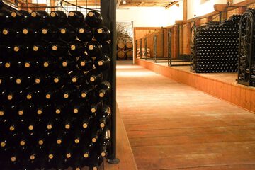 Winery
