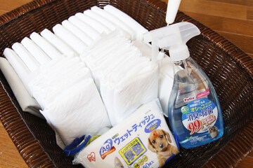 Pet-friendly amenities