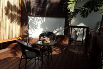 Terrace or Patio