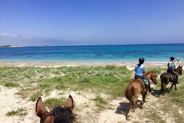 Horseback riding