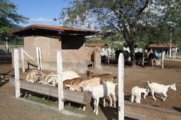 Children's activities