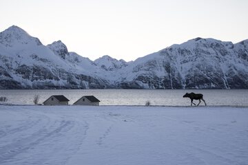 Lake