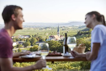 Vineyard