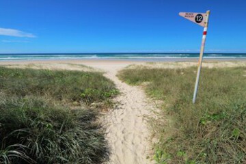 Beach or Ocean View