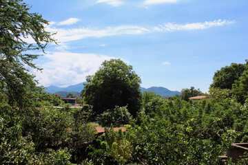 Mountain view