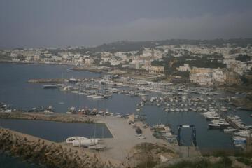 Photo 42