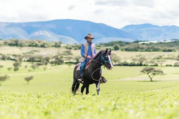 Horseback riding