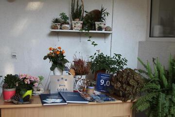 Photo 9