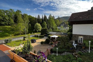 Park view