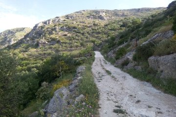 Hiking
