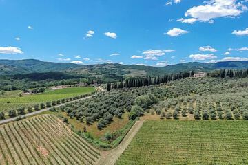 Winery