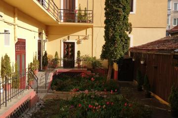 Photo 31
