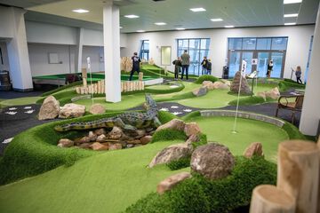 Mini-golf
