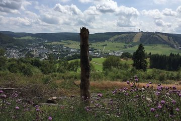 Hiking