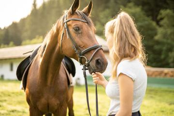 Horseback riding