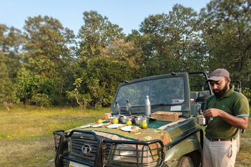 Safari