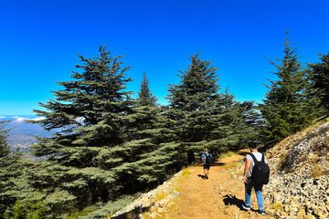 Hiking