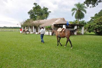 Photo 48