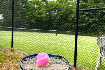 Tennis court
