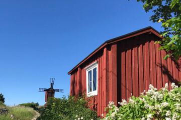 Photo 21