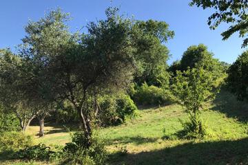 Photo 44
