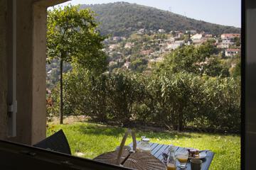 View from room