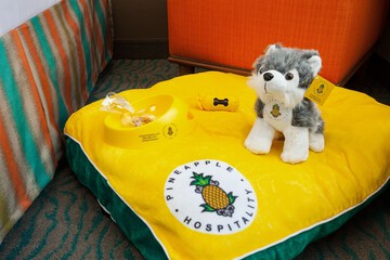 Pet Friendly 42 of 43