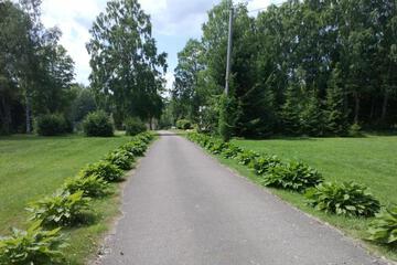 Photo 24